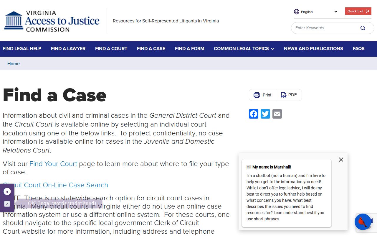 Virginia guidance for finding Pulaski County criminal court cases