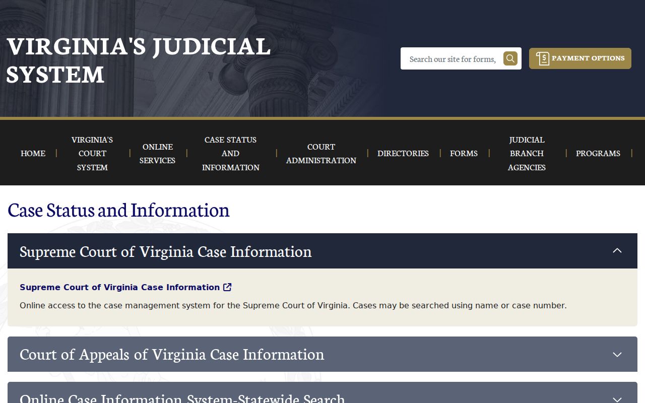 Virginia case information hub for Pulaski County criminal court records